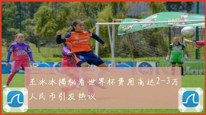 王冰冰揭秘看世界杯费用高达2-3万人民币引发热议