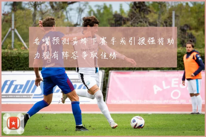 名嘴预测黄蜂下赛季或引援强将助力现有阵容争取佳绩